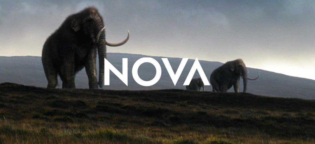 Nova-WhenWhalesCouldTalk-rs