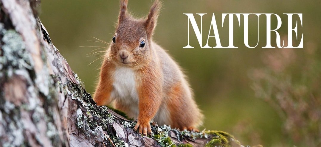 Nature-Wildheart-rs