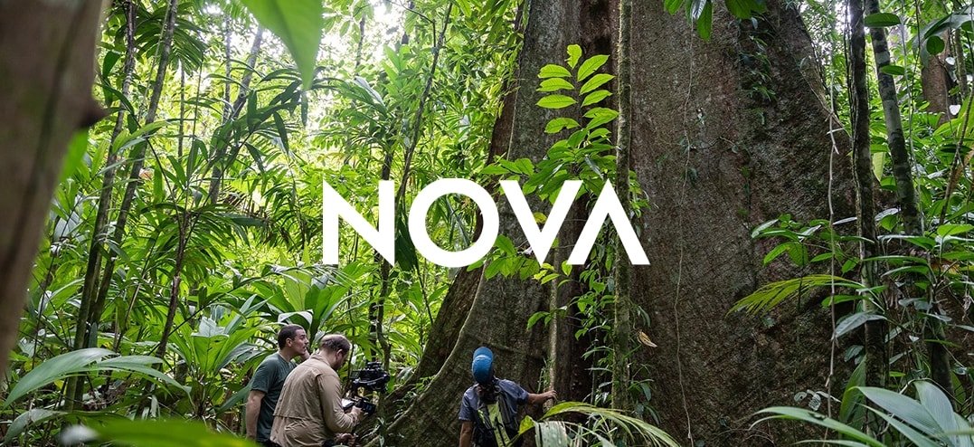 Nova-SecretsOfTheForest-rs