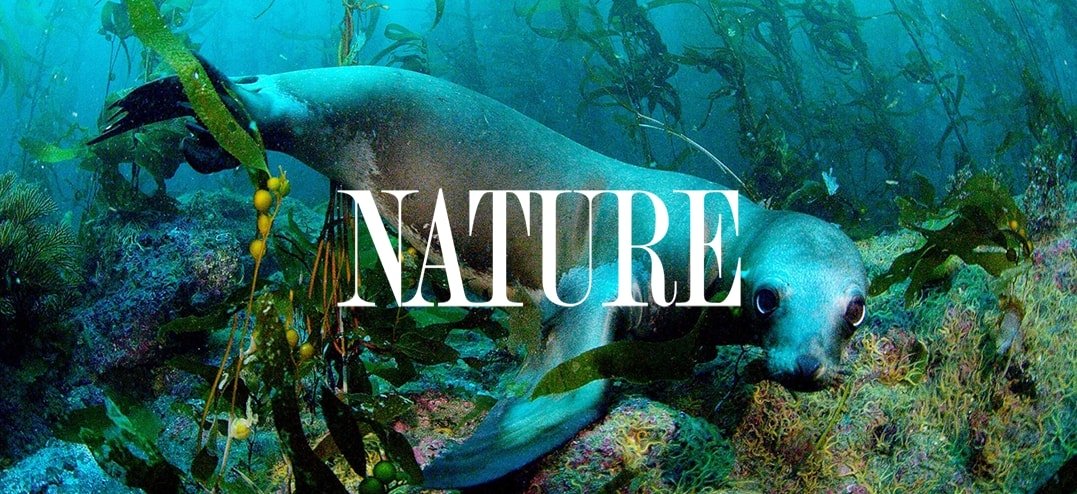 Nature-SoulOfTheOcean-rs