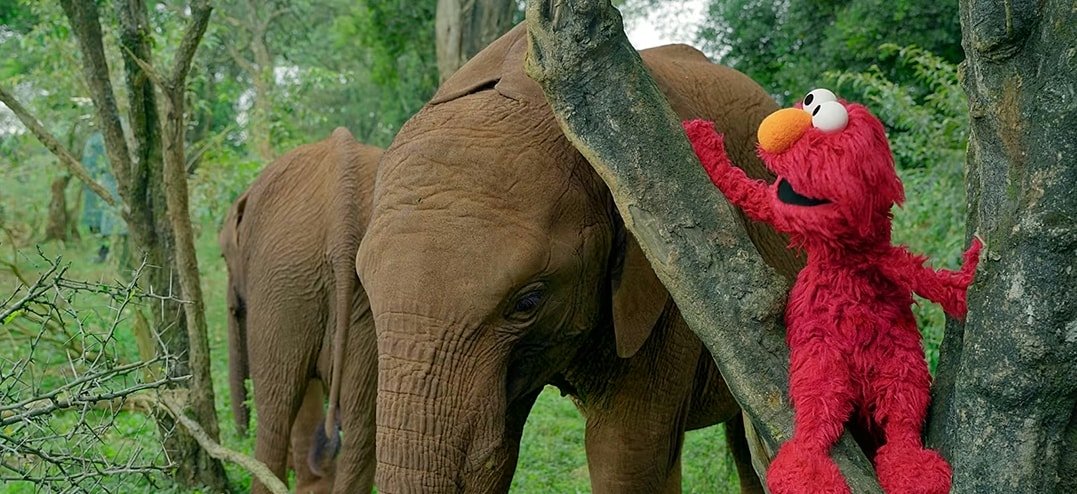 SesameStreetElephant-rs